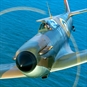 spitfire close up